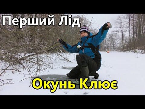 Видео: Навіщо Мотиль, Коли Клює на Голу. Окунь на Безмотилку. Перший Лід