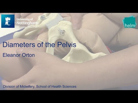 Видео: Диаметры таза