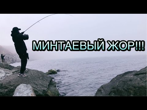 Видео: Ловля Минтая на металл джиги с берега. г. Владивосток 2024