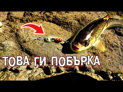 Видео: Тази ПРИМАМКА побърка Кефалите от река МАЛЪК ИСКЪР !!