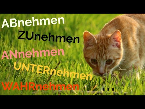 Видео: Глаголът nehmen + представки / Das Verb nehmen + Präfixe (A2, B1, B2)