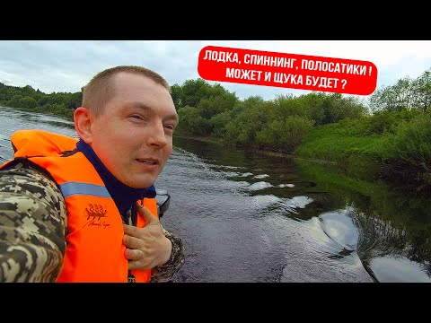 Видео: ПЕРВАЯ РЫБАЛКА С ЛОДКИ 2025. МЕНЯ ОБЛОВИЛИ!