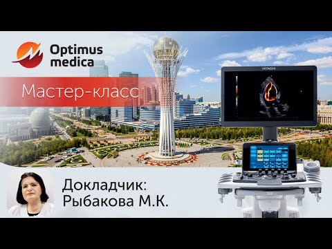 Видео: Мастер класс от Рыбаковой М К  на Hitachi Lisendo 880