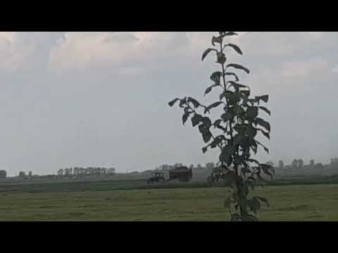 Видео: Уборка сенажа 2022 часть 2