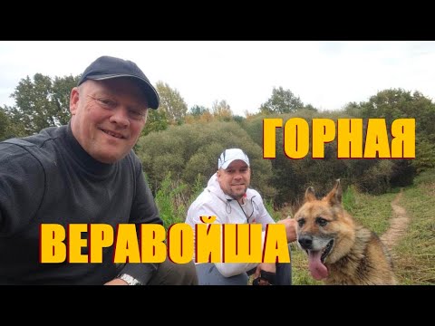 Видео: Горная Веравойша 🇧🇾.Секрет деревни и почему сюда тянет.Природа,горы,воздух.И всё это здесь в избытке
