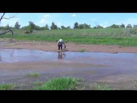 Видео: Как выглядит пруд после семинара Зеппа Хольцера. Девять месяцев спустя.