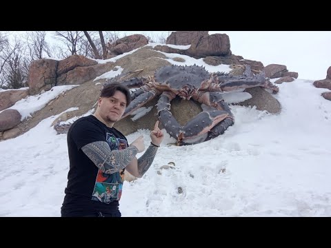 Видео: Стрим с Чипаевым #41 (Провожаем зиму)