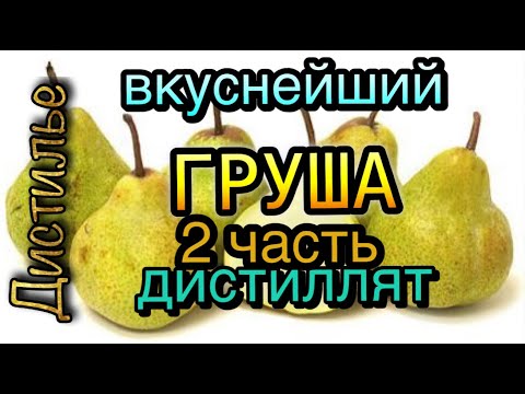 Видео: Груша-вкуснейший дистиллят 2