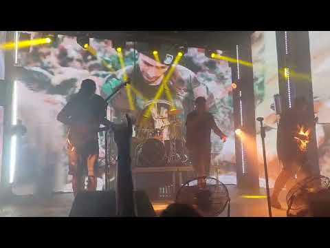 Видео: Stigmata - Кобра (Live @ Gipsy, Moscow. 2023.07.06)