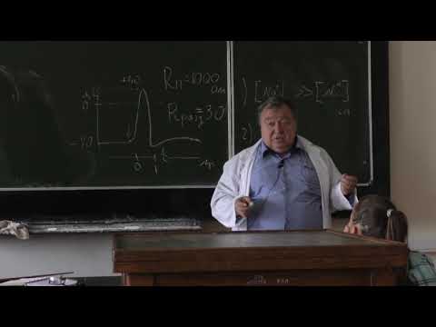 Видео: Каменский А. А. - Физиология человека и животных - 2. Потенциал действия. Блокаторы Na-каналов