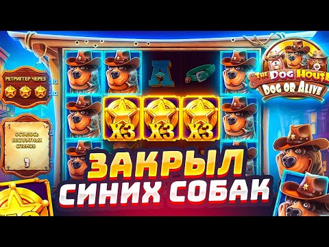 Видео: РЕКОРДНЫЙ ЗАНОС В THE DOG HOUSE DOG OR ALIVE , ЗАКРЫЛ СИНИХ СОБАК МОЩНЫМИ ВИЛДАМИ И ЗАНЁС! ЖЕСТЬ