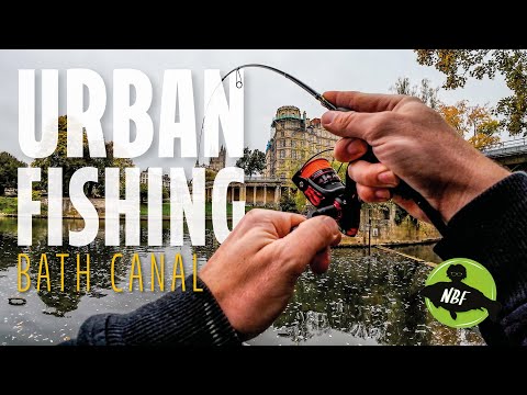 Видео: Я нашел СУХОЙ шлюз канала… и он был ПОЛОН рыбы!