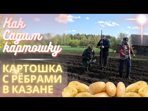 Видео: Картошка с рёбрами в казане. Весенняя посадка картошки. Домашние заботы.