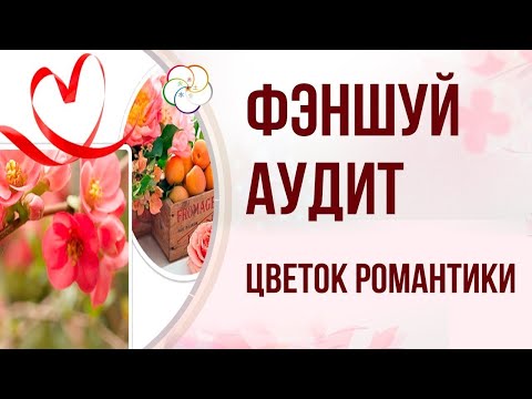 Видео: ФУНДАМЕНТАЛЬНОЕ БАЦЗЫ и ФЭНШУЙ: Звезда Романтики (Цветок Персика) в карте Бацзы