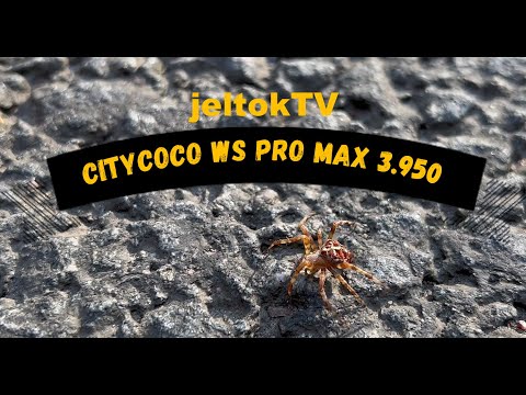 Видео: CityCoCo WS PRO MAX 3.950 ПРОДОВАНЫ И НАГЛОСТЬ МОТОБАТА !