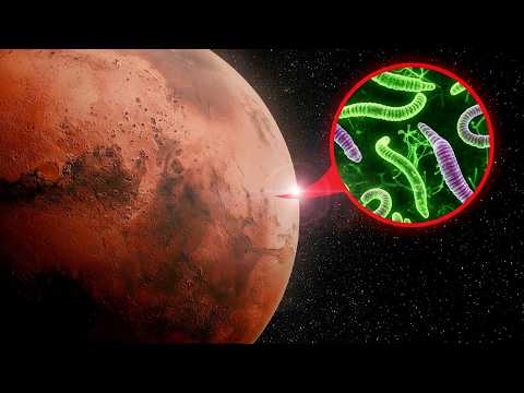 Видео: Как Учёные Нашли Жизнь на Марсе и Почему Это Меняет Историю