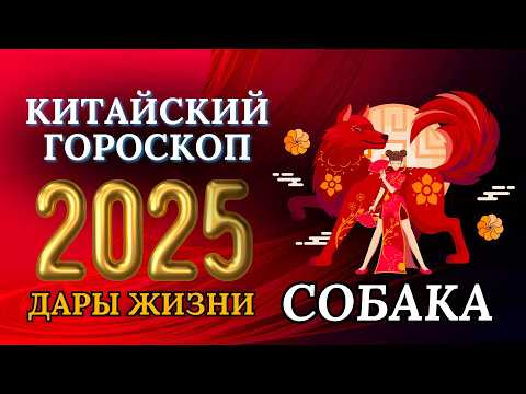 Видео: СОБАКА 2025 - КИТАЙСКИЙ ГОРОСКОП НА 2025 ГОДА