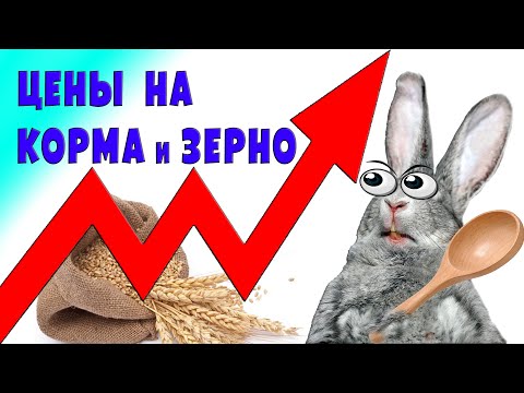 Видео: Цены на корм и зерно. Осень 2021