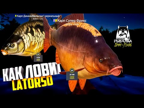 Видео: Русская рыбалка 4. 🎣 оз. Медное 🐋🐋💦 КАК ЛОВИТ LATORSO 👀