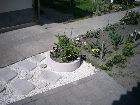 Видео: 17 октября 2025 г. Продолжение эпопеи с туями. Не простое дело, скажу я вам, господа