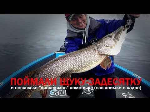Видео: ЩУКА БОЛЬШЕ 10 килограммов!!! Поимка в кадре! Жизнь на PAL. Экипаж Беляева - Вихрова. PAL 2018