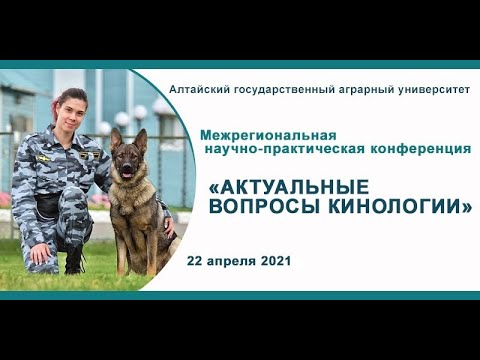 Видео: Актуальные вопросы кинологии  Алтайский ГАУ 22 04 2021