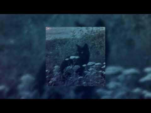 Видео: polnalyubvi - кометы [speed up]