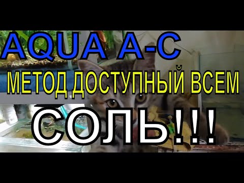 Видео: лечение ихтиофтириоза(манки) у гуппи.старый добрый метод!