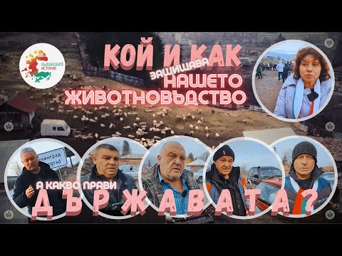 Видео: Истината за ставащо с овцете на #БайГеорги във #Велинград. Дали ? Ролята на #БАБХ и на #МЗХ в случая