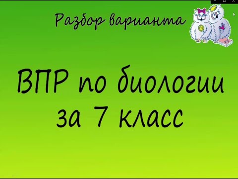 Видео: Биология. Разбор варианта ВПР по биологии 7 класс. Вариант 1