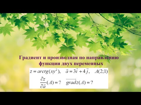 Видео: 10. ФНП. Градиент и производная по направлению функции двух переменных.