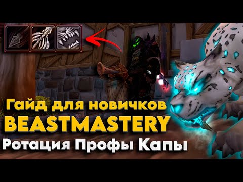 Видео: Гайд на БМ Охотника PvE 4т7/Guide Beast Mastery PvE 4т7 Nozdor x5