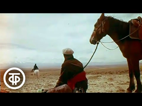 Видео: Люди Горного Алтая. Фрагмент документального фильма (1971)
