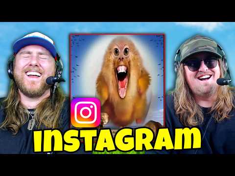 Видео: Мемы в Instagram стали хуже