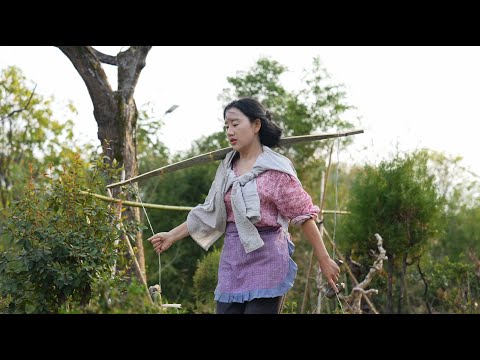 Видео: (Сладкий зеленый рисовый шарик)Весна — это романтика, пришедшая издалека. Насладись вкусом весны.