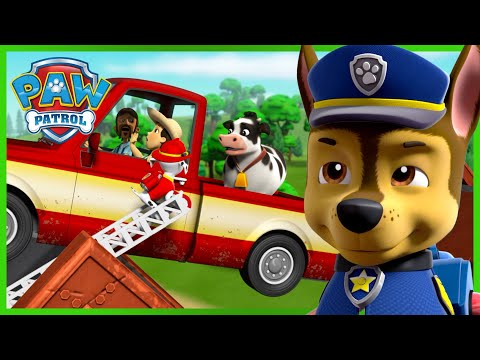 Видео: Кученцата спасяват фермера Ал и фермерката Юми от счупен мост! - PAW Patrol Bulgarian