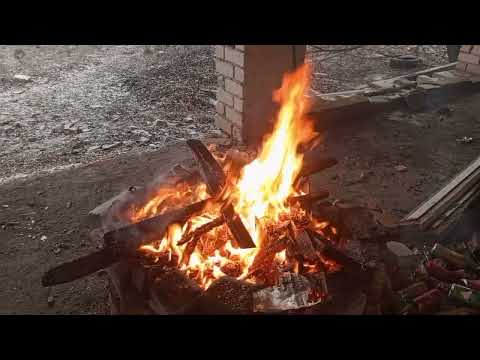 Видео: Сколько получает опекун?