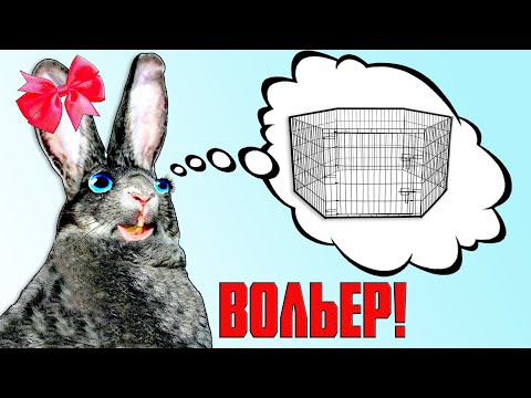 Видео: Вольерное содержание кроликов / "За" и "Против"