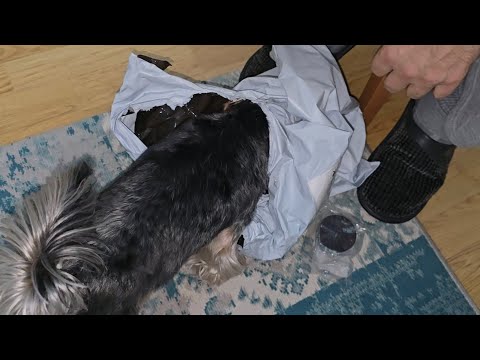 Видео: АБАЯМ  БАБАЯМ ... ЧТО КИТАЙЧИКИ ПРИСЛАЛИ ... ЧЕМ ЗАНЯТ МУЖ ... 