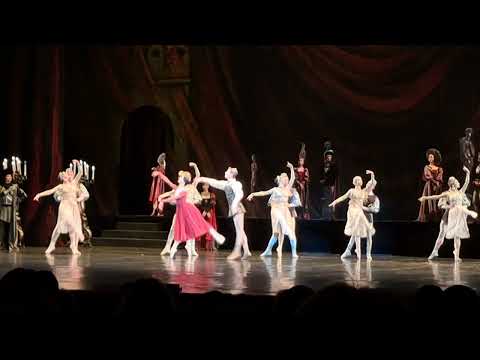 Видео: 9 ноября 2025 г.