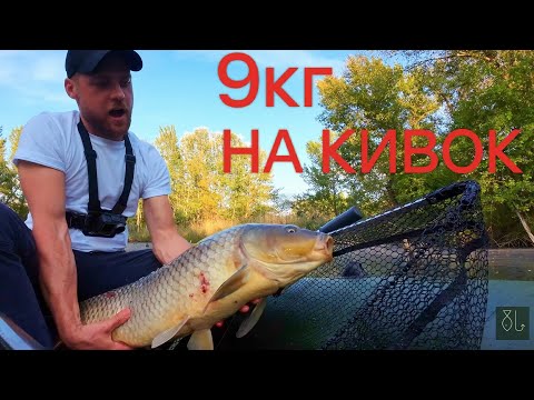 Видео: Боковой КИВОК в диком КОРЯЖНИКЕ. Пришлось лезть в воду! Fishing 2023