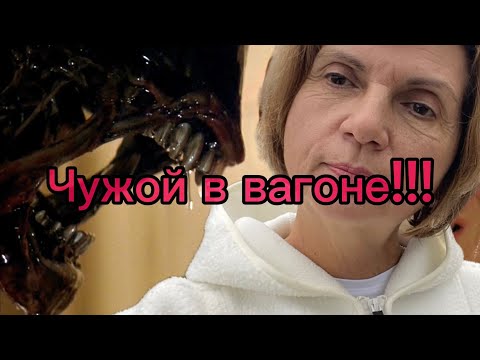 Видео: Болгария. Всё что с нами происходит нас только закаляет!
