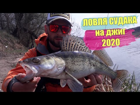 Видео: РЫБАЛКА НА СУДАКА на ЮЖНОМ БУГЕ. Судак потрепал нервы. Спиннинг 2020.