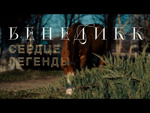 Видео: PRO_Лошадей. Бенедикк