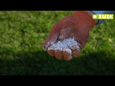 Видео: Известкование газона и грядок на зиму