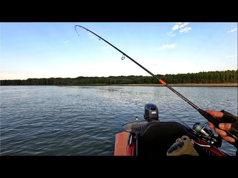 Видео: И все-таки он случился. Рыбалка на Оби ( Сузун ) 24 июля 2023г. Долгожданный щучий выход.