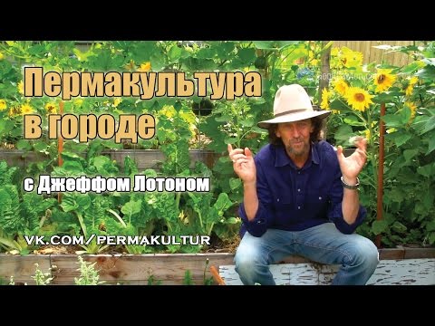 Видео: Джефф Лотон "Пермакультура в городе"