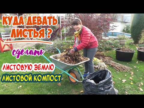 Видео: ЛИСТОВОЙ КОМПОСТ и ЛИСТОВАЯ ЗЕМЛЯ (ПЕРЕГНОЙ) в мешках. ОПАВШАЯ ЛИСТВА в ДЕЛО!