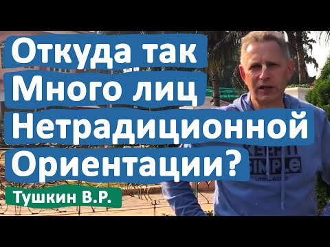 Видео: ОТКУДА В НАШЕ ВРЕМЯ СТОЛЬКО ЛИЦ НЕТРАДИЦИОННОЙ ОРИЕНТАЦИИ? • ВАСИЛИЙ ТУШКИН