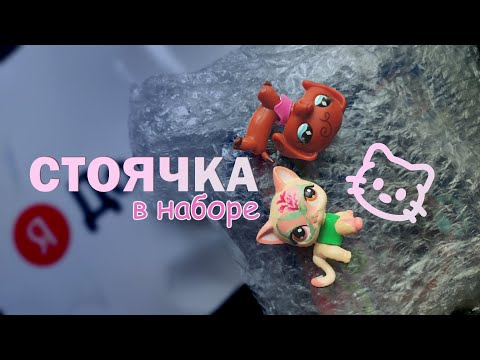 Видео: LPS: Мне пришел набор и пара петов 🐾